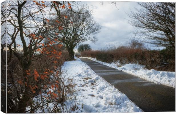 Winter Walk Canvas Print by Richard Downs