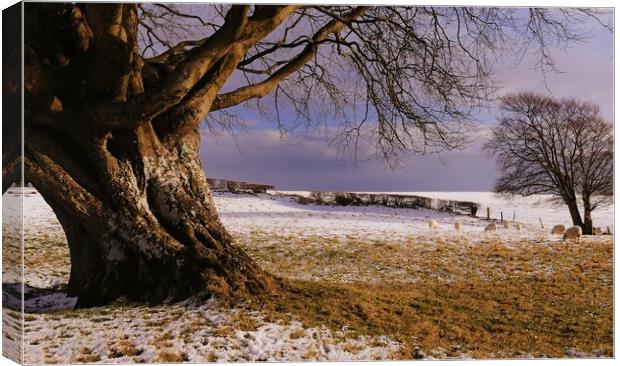 Old Man of The Hill Canvas Print by Richard Downs