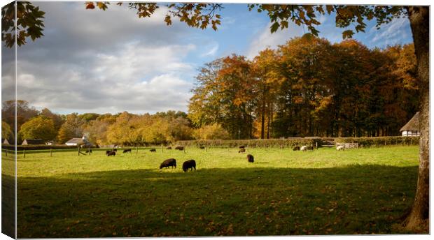 Autumn Scenic Canvas Print by Richard Downs