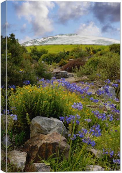 National Botanic Garden of Wales Canvas Print by Richard Downs