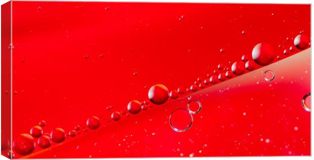 Oil on Water Red and Silver Bubble Abstract Canvas Print by John Williams