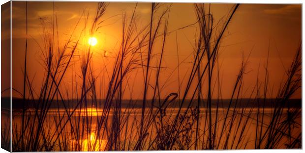 Golden Sunset at the Lake Canvas Print by John Williams