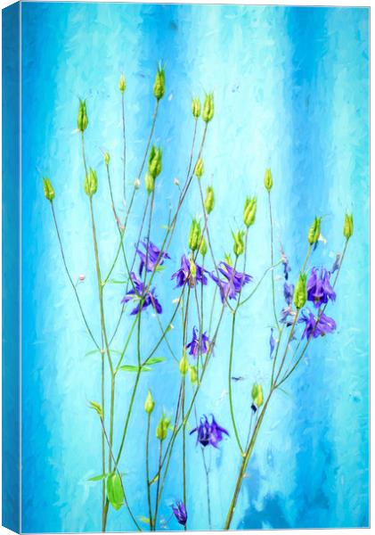 Dark Blue Delphinium Soft Oil Style Canvas Print by John Williams