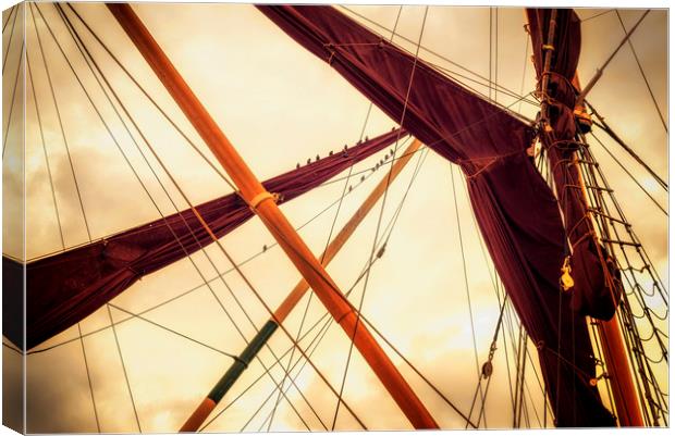 Masts of Yacht Canvas Print by John Williams