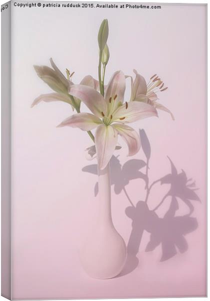  Shadows of  Lily Canvas Print by patricia rudduck