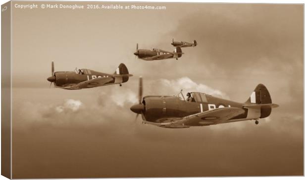 Horn Island Patrol - Sepia Canvas Print by Mark Donoghue