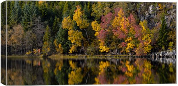 Autumn Reflections Canvas Print by Eirik Sørstrømmen