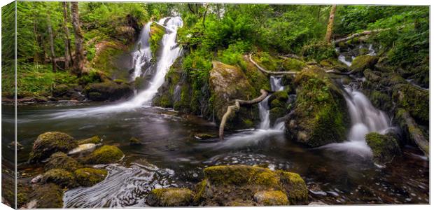 The Forest Waterfall Canvas Print by Eirik Sørstrømmen