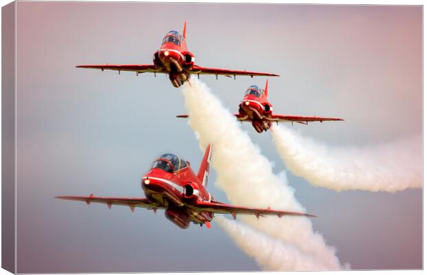 Low Flying Reds Canvas Print by David Stanforth