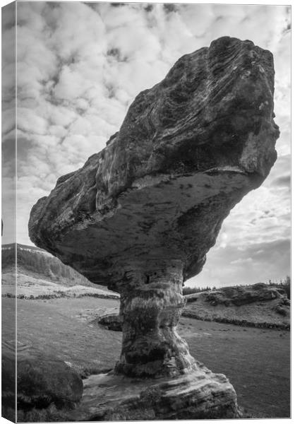 Bunnet Stane Canvas Print by Willie Cowie