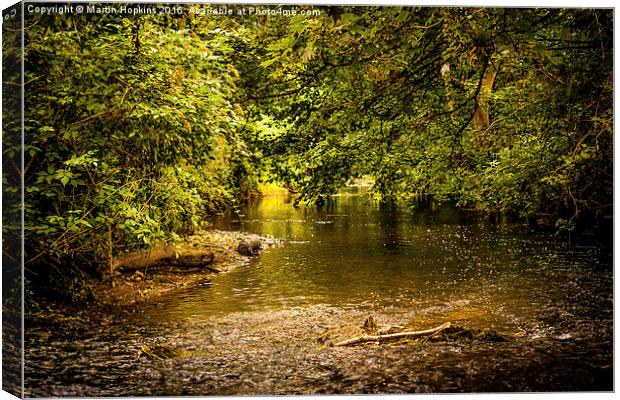 Tranquil Brook Canvas Print by Martin Hopkins
