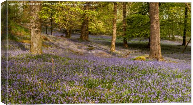 Enchanting Bluebell Woodland Canvas Print by MICHAEL YATES