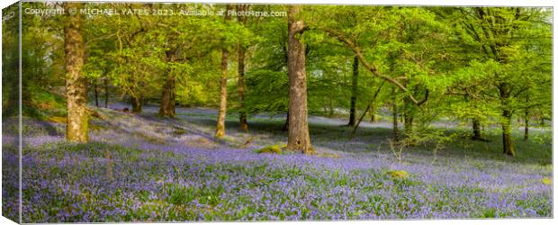 Bluebell Panorama . Canvas Print by MICHAEL YATES