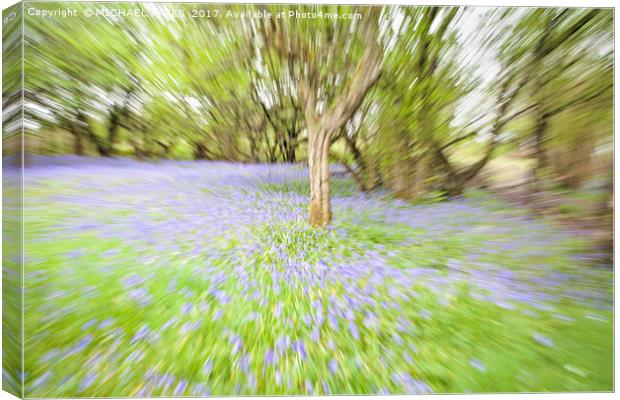 Bluebell Zoomburst Canvas Print by MICHAEL YATES