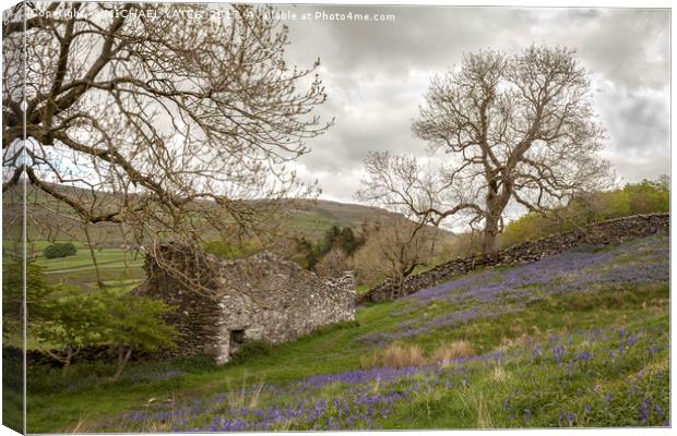 Bluebells and Ruin Canvas Print by MICHAEL YATES