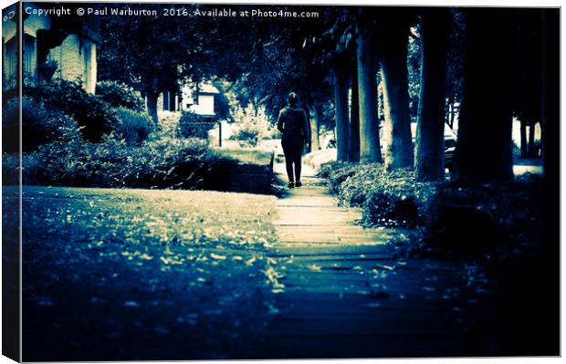 Walking a Lonely Path Canvas Print by Paul Warburton