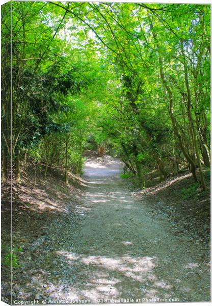 The Tree path Canvas Print by Annette Johnson