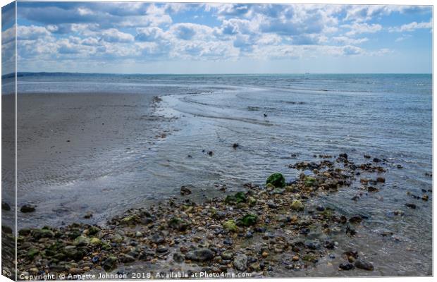 West Worthing Beach Canvas Print by Annette Johnson
