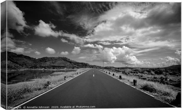Road to Nowhere Canvas Print by Annette Johnson