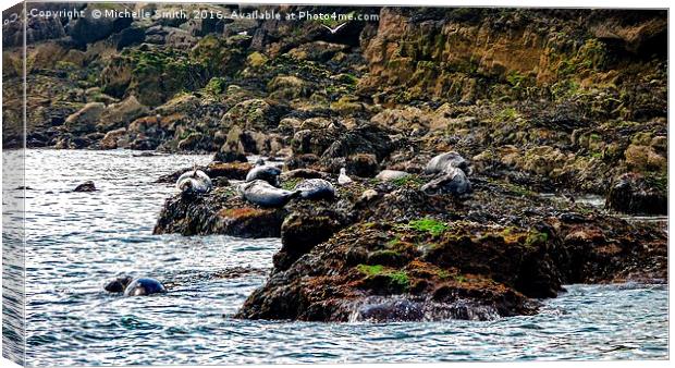 Spot the seals Canvas Print by Michelle Smith