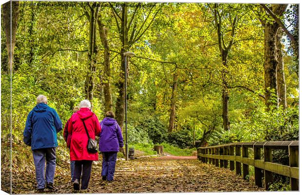  Jesmond Dene Walk Canvas Print by Ryhan Hussain