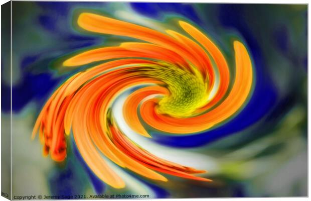 Vibrant Chrysanthemum Swirl Canvas Print by Jeremy Sage