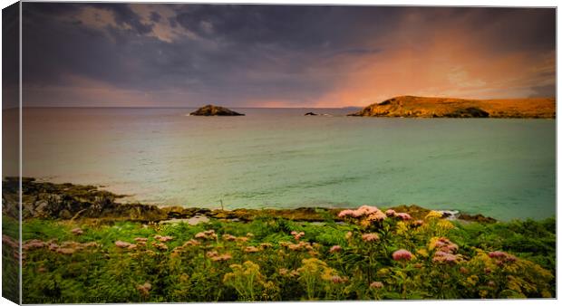 Porth Joke view Canvas Print by Jeremy Sage