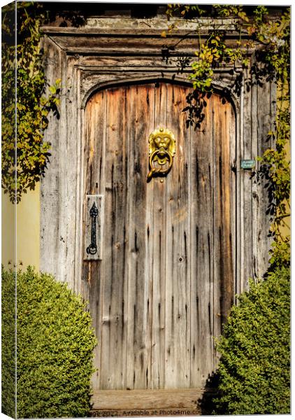 Knock on the Door Canvas Print by Jeremy Sage