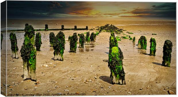 Seaweed-Clad Groynes Canvas Print by Jeremy Sage