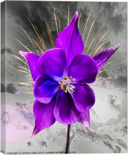 Vibrant purple Columbine Bloom Canvas Print by Jeremy Sage