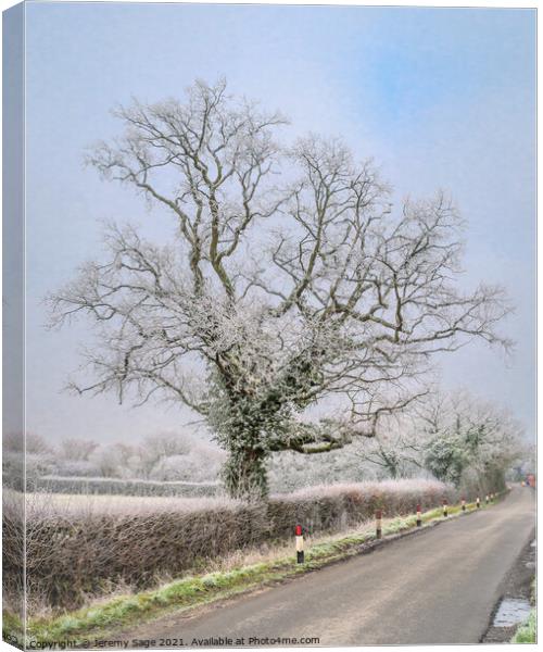 A country lane Canvas Print by Jeremy Sage