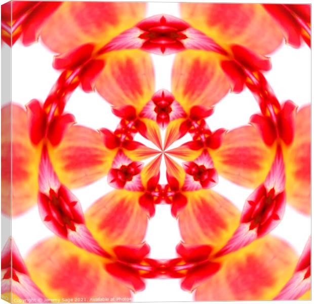 The Vibrant Radial Dahlia Canvas Print by Jeremy Sage