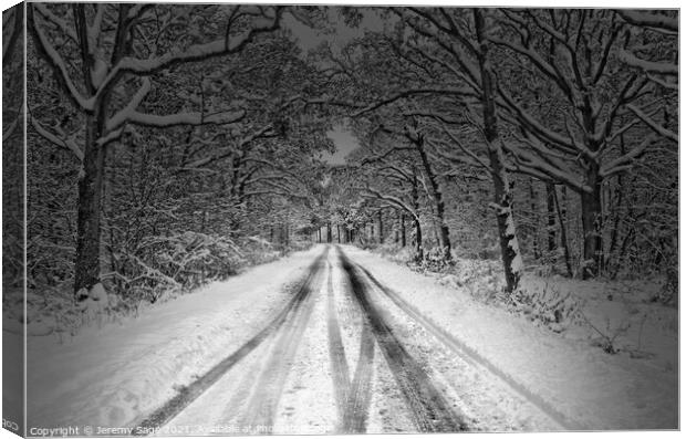 Treacherous Winter Drive Canvas Print by Jeremy Sage