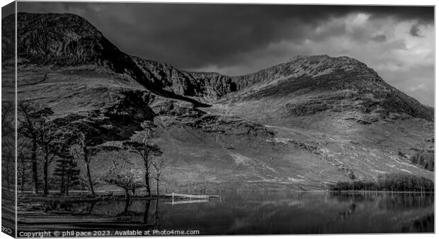 Buttermere pines Canvas Print by phil pace