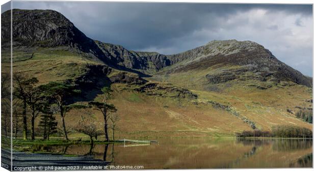 Buttermere pines Canvas Print by phil pace