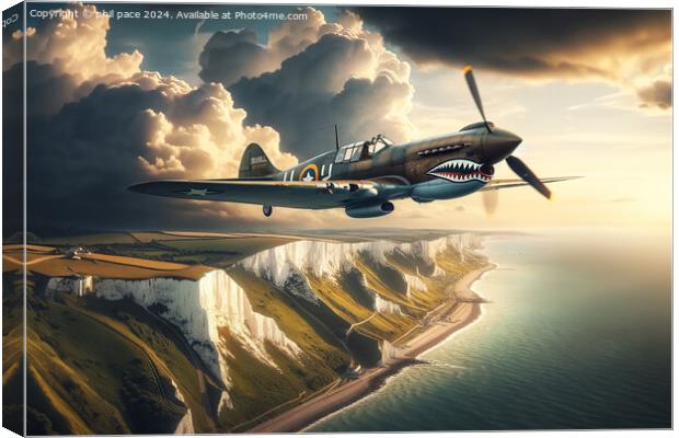 Curtis P-40 Warhawk 3 Canvas Print by phil pace