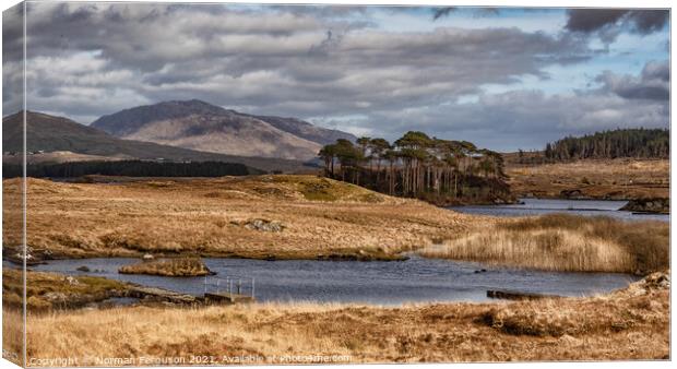 Derryclare lough Canvas Print by Norman Ferguson