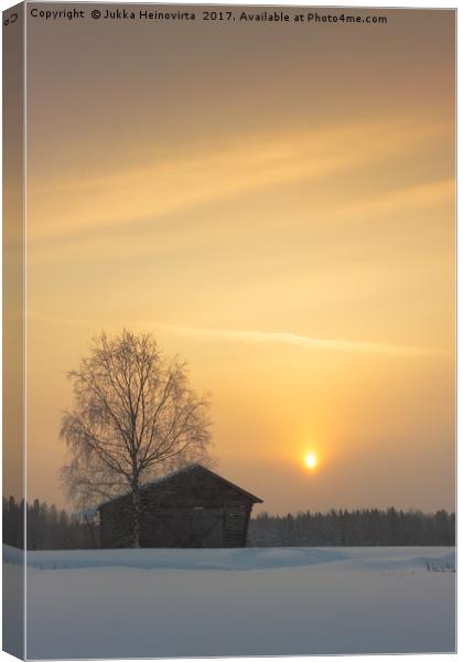 Birch Tree And A Barn In The Sunrise Canvas Print by Jukka Heinovirta