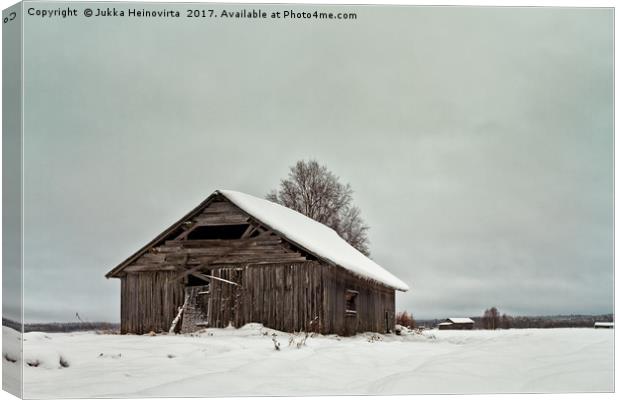 Barns On The Snowy Fields Canvas Print by Jukka Heinovirta