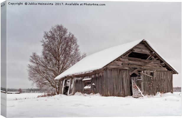 Abandoned Barn House Covered With Snow Canvas Print by Jukka Heinovirta