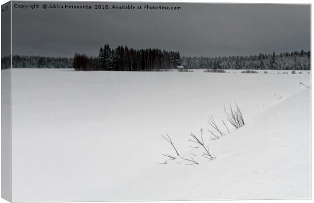 Branches in the Snow Canvas Print by Jukka Heinovirta