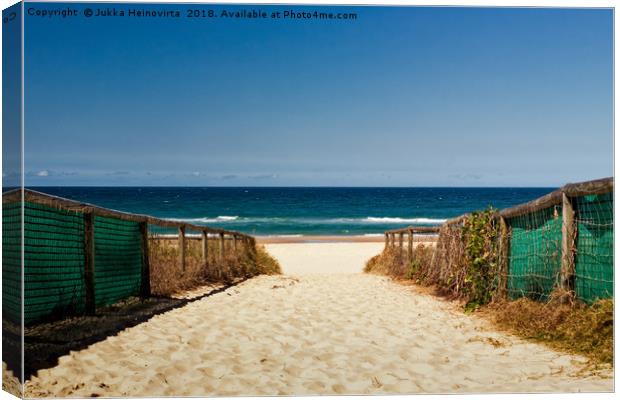 Path to the Beach in Australia Canvas Print by Jukka Heinovirta