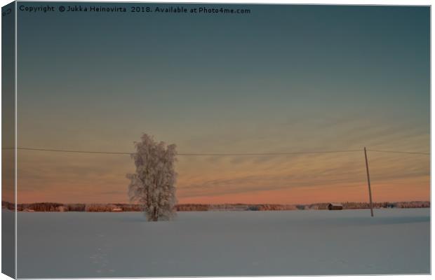 Lonely Tree Covered With Snow Canvas Print by Jukka Heinovirta
