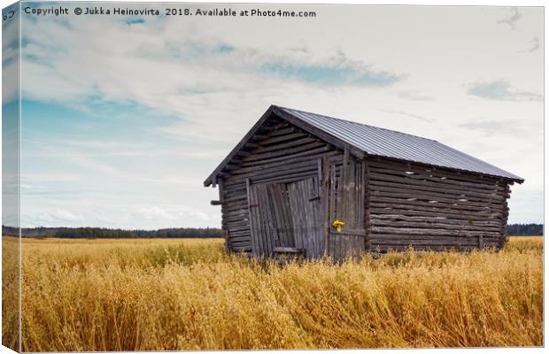 Barn House In The Middle Of The Fields Canvas Print by Jukka Heinovirta