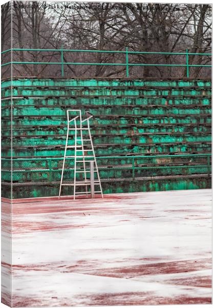 Crow On A Snowy Tennis Court Canvas Print by Jukka Heinovirta