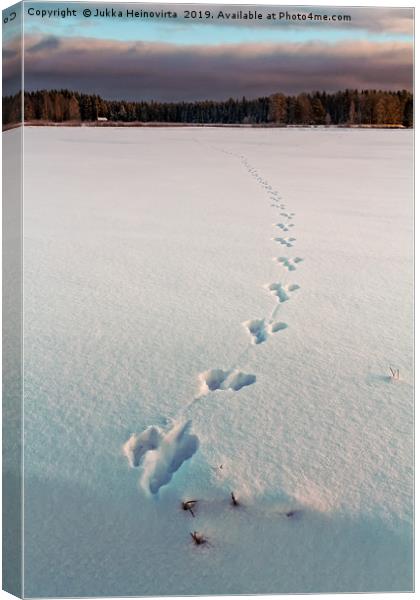 Footprints On The Snow Canvas Print by Jukka Heinovirta