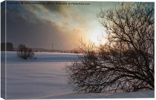 Sunset In The Snowfall Canvas Print by Jukka Heinovirta