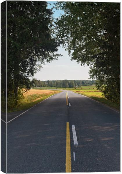 Road Through The Forest Canvas Print by Jukka Heinovirta