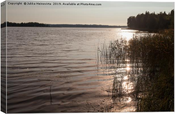 Morning By The Lake Canvas Print by Jukka Heinovirta