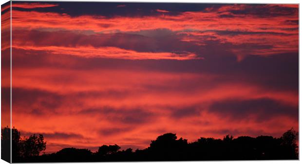 Gornal Sunset  Canvas Print by Dave Holt